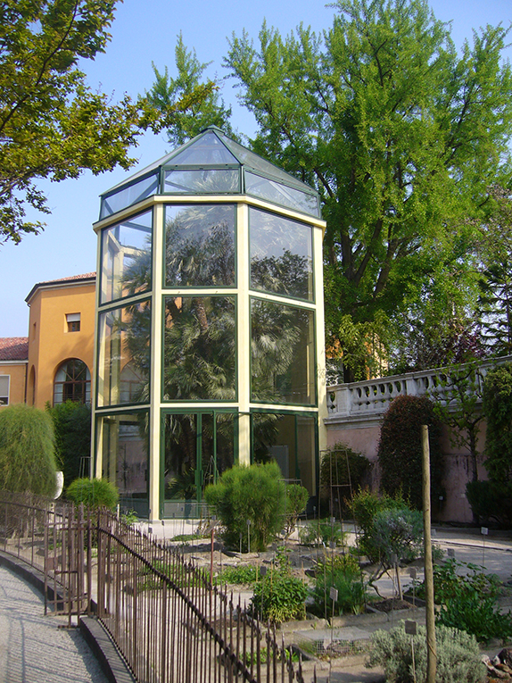 Orto Botanico PD Serra Palma Goethe