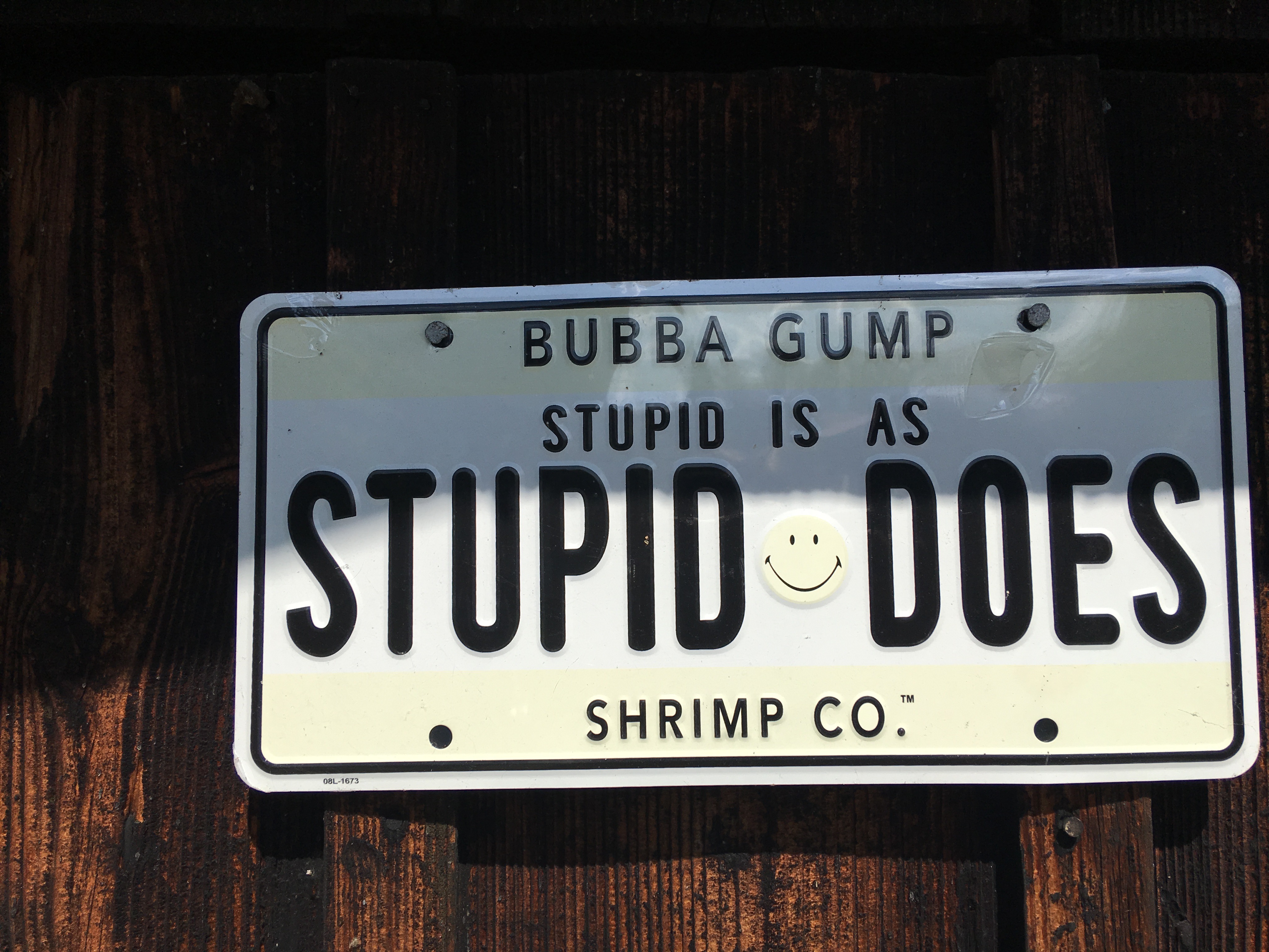Stupid Does