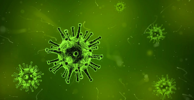 virus mikroskop infektion krankheit tod medizin, Quelle: qimono, Pixabay License Freie kommerzielle Nutzung Kein Bildnachweis nötig