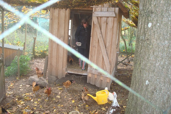 Eier von eigenen Hühnern ergänzen den Speiseplan derjenigen, die vom BGE leben, Foto: Vallendar