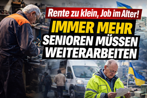 Post-Retirement Employment Trends and German Ukraine Aid Debate