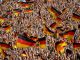 Menschenmenge, Fußball, Deutschland, Quelle: Ganossi,